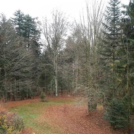 Ferienwohnung Waldoase Am Fuchsenstein Spiegelau Buitenkant foto