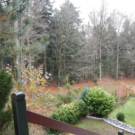 Ferienwohnung Waldoase Am Fuchsenstein Spiegelau Buitenkant foto