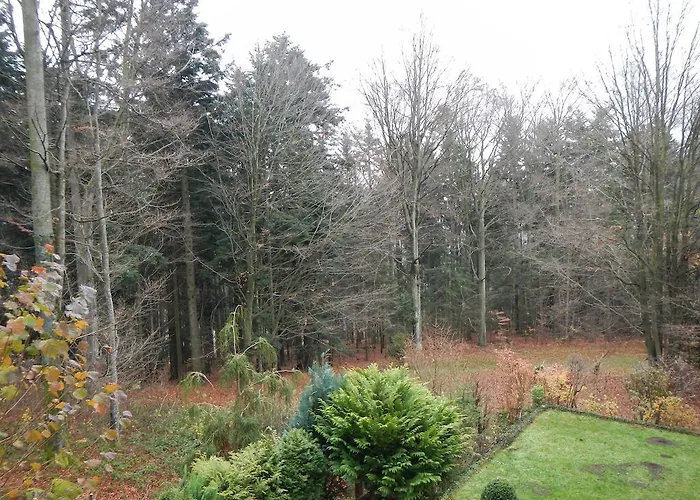 Ferienwohnung Waldoase Am Fuchsenstein