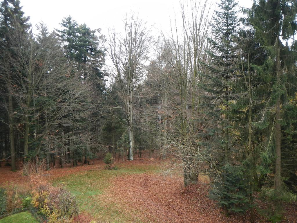 Waldoase Am Fuchsenstein