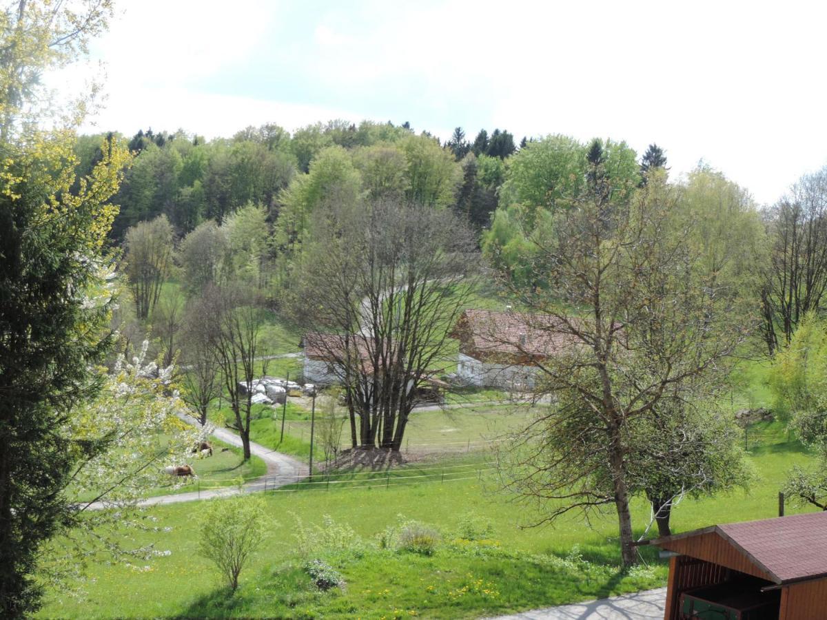 Waldoase Am Fuchsenstein *